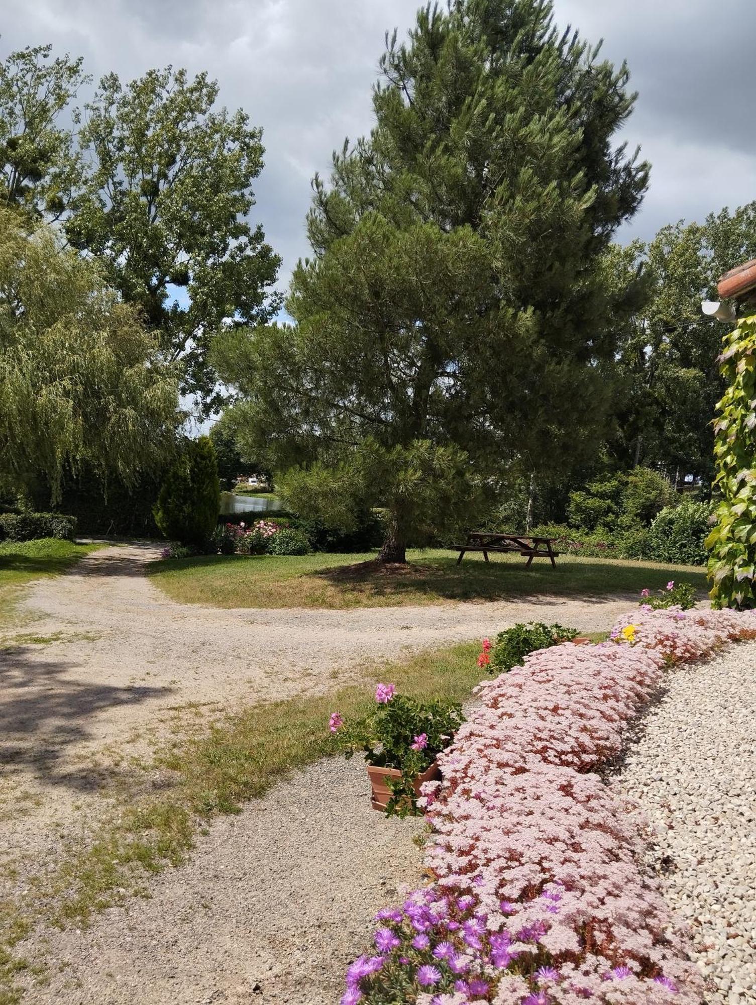 Maison Au Calme Avec Vue Etang Clesse  Exterior foto